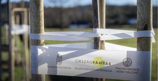 Településfásítási Program 2024