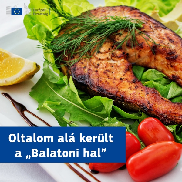 A „Balatoni hal” felkerült az uniós oltalom alatt álló földrajzi jelzések listájára