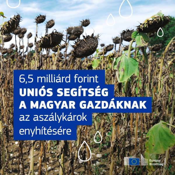 6,5 milliárd forintos uniós segítség a magyar gazdáknak az aszálykárok enyhítésére
