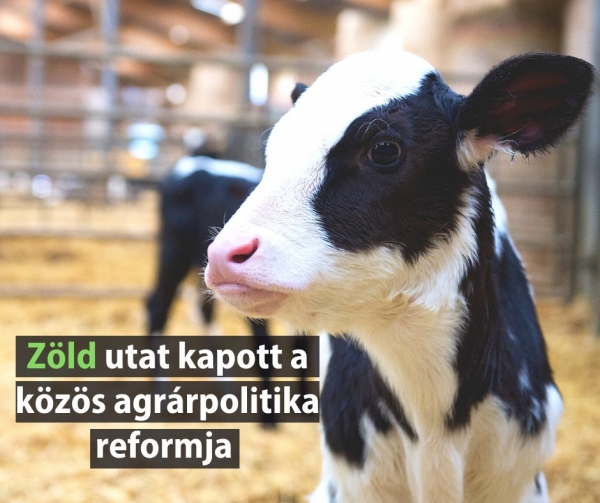 Az EP képviselői jóváhagyták a közös agrárpolitika reformját