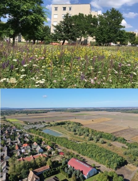 Természetalapú megoldások példatára, önkormányzati jó gyakorlatok