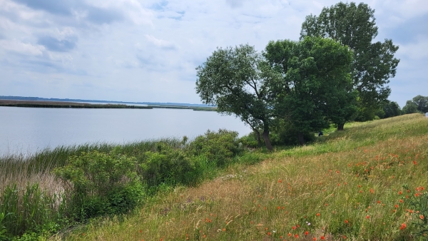 Tisza-tó Kelet-Magyarország tengere - bemutató kisfilm