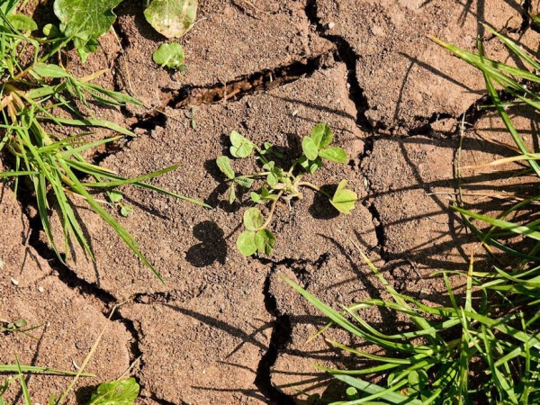 Mit tehetünk hőség idején, hogyan alkalmazkodjunk otthon?