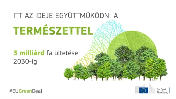 Európai zöld megállapodás: A Bizottság új stratégiát terjeszt elő az európai erdők védelme és helyreállítása érdekében