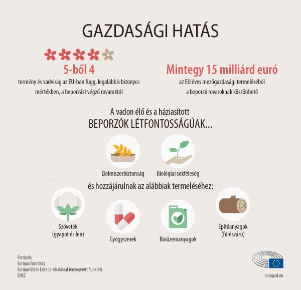 Mit tesz az EU a méhpopuláció csökkenésének megállítására?