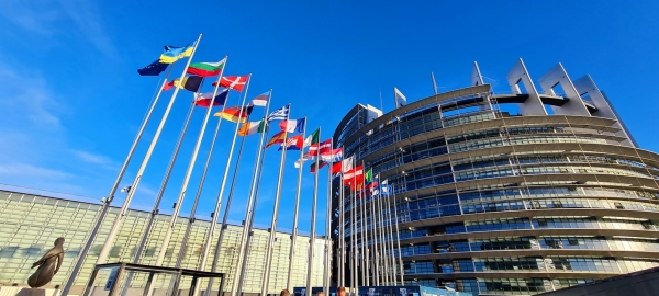 AzEurópai Parlament bizottságainak és albizottságainak tagjai